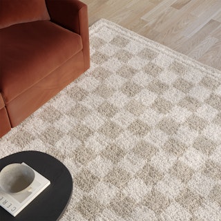 Alvin 8 x 10 Rug - Checkered Neutral